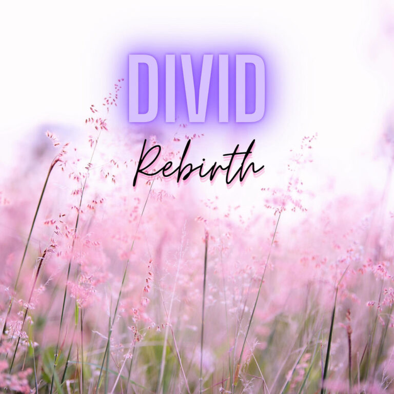 DIVID