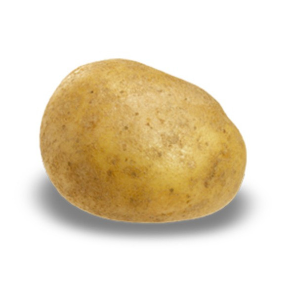 PATATAONSTEREO
