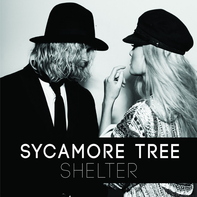 Sycamore Tree