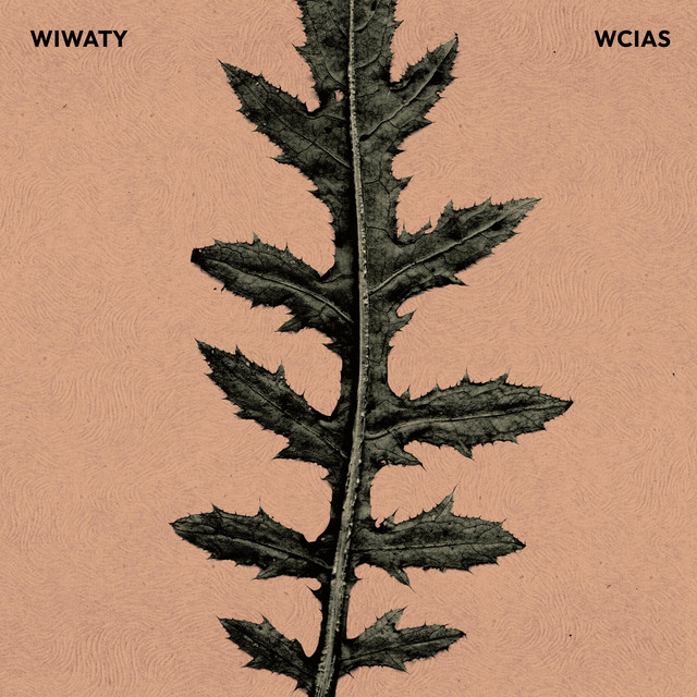 WCIAS